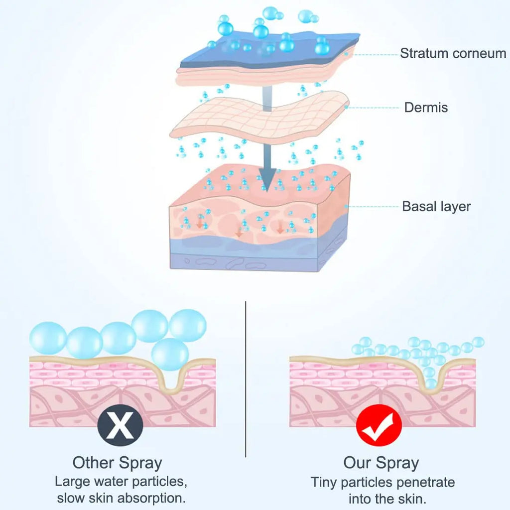 VitaHydra Nano Sprayer